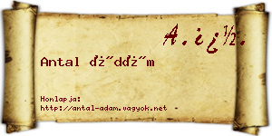 Antal Ádám névjegykártya