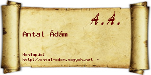 Antal Ádám névjegykártya